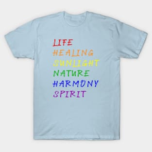 Gay Pride Flag Meaning T-Shirt